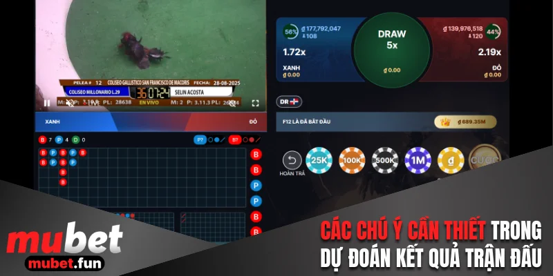 Các chú ý cần thiết trong dự đoán kết quả trận đấu