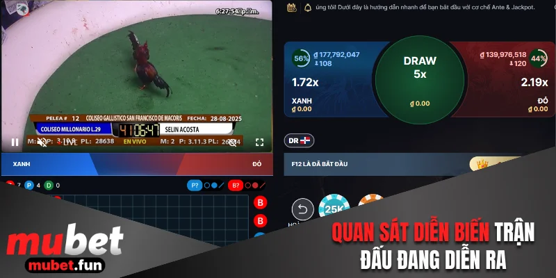 Quan sát cụ thể diễn biến trận đấu đang diễn ra