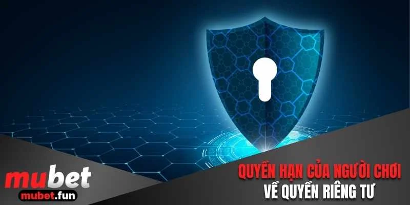 Quyền hạn của người chơi về quyền riêng tư